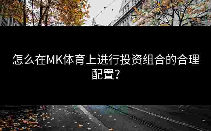 怎么在MK体育上进行投资组合的合理配置？
