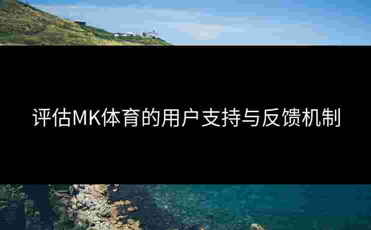评估MK体育的用户支持与反馈机制